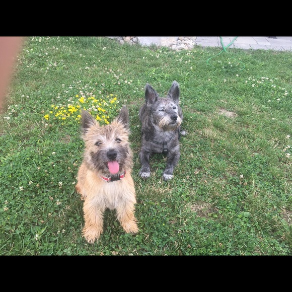 Meet your Posher, Elizabeth - Picture 9 of 16